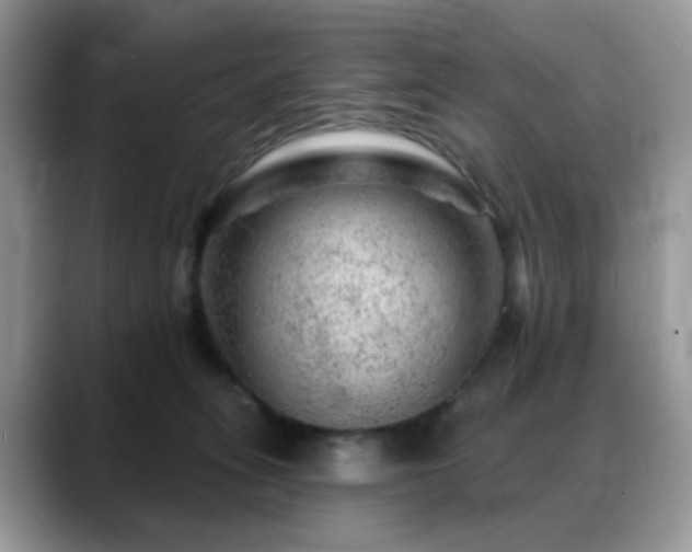 X0000088900275200706081311