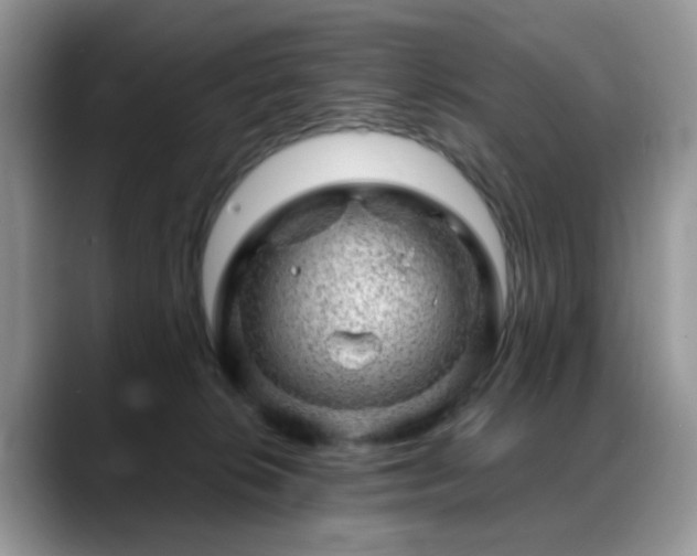 X0000088900276200706081311