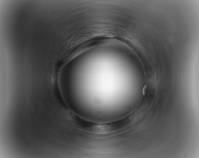 X0000088900277200706081311