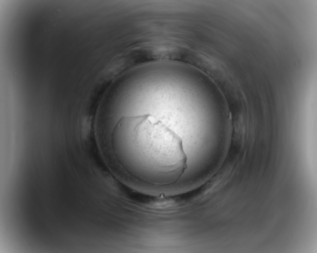 X0000088900278200706081311