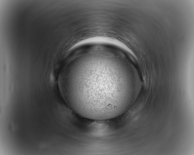 X0000088900280200706081311