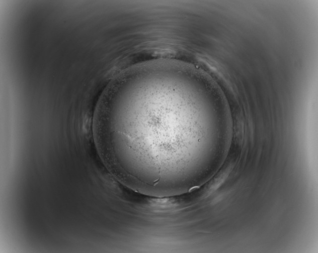 X0000088900281200706081311
