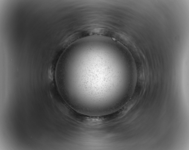X0000088900282200706081311