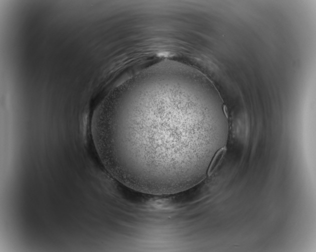 X0000088900283200706081311