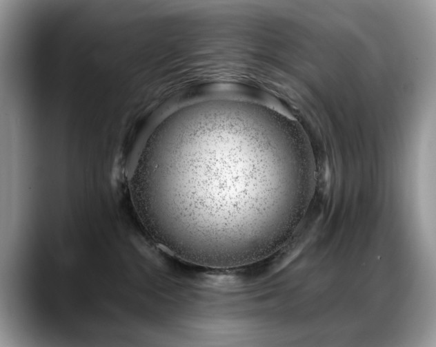 X0000088900284200706081311