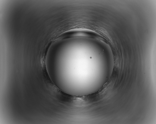 X0000088900285200706081311