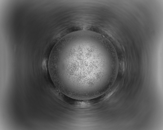 X0000088900286200706081311