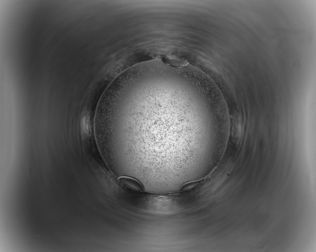 X0000088900287200706081311