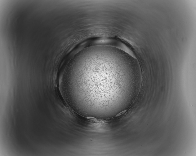 X0000088900288200706081311