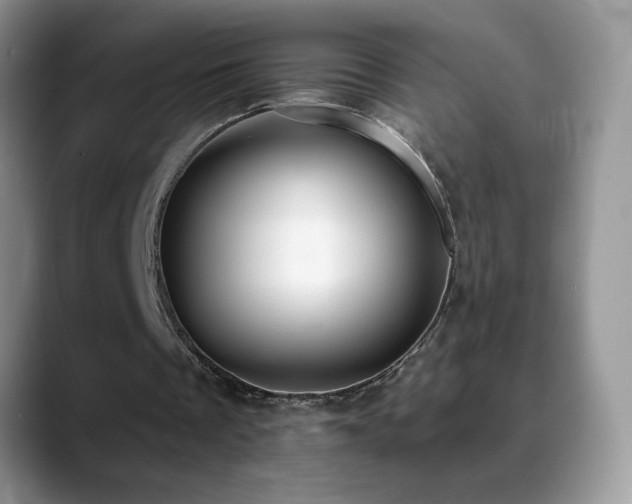 X0000088900289200706081311