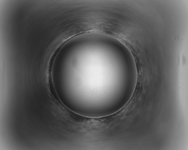X0000088900290200706081311