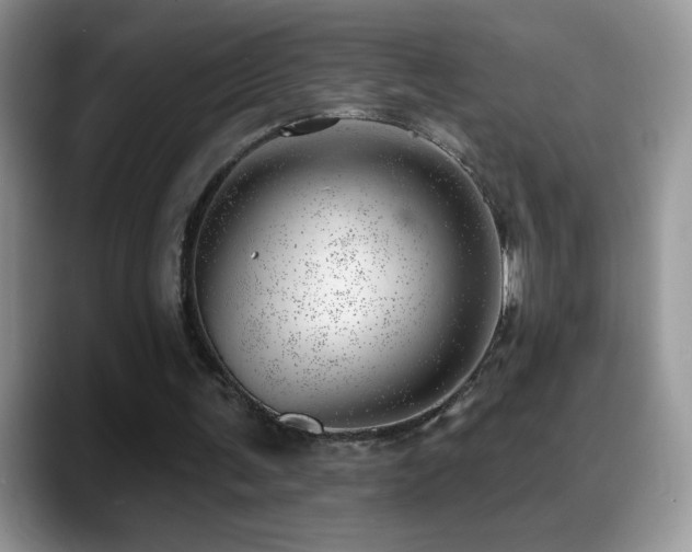 X0000088900291200706081311