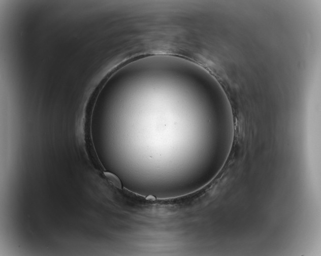 X0000088900292200706081311