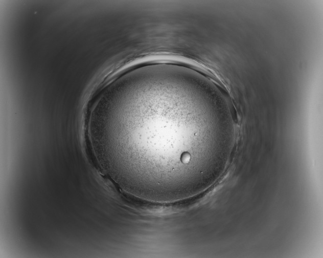 X0000088900293200706081311