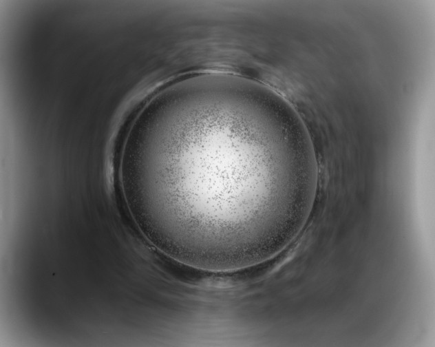 X0000088900294200706081311