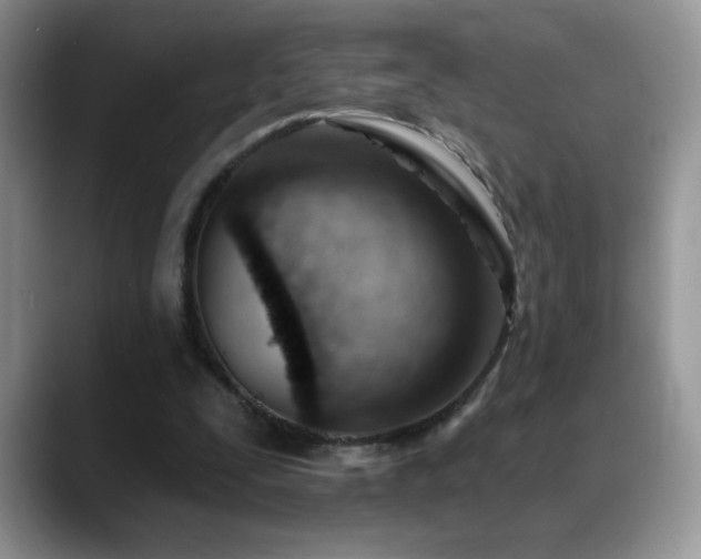 X0000088900295200706081311