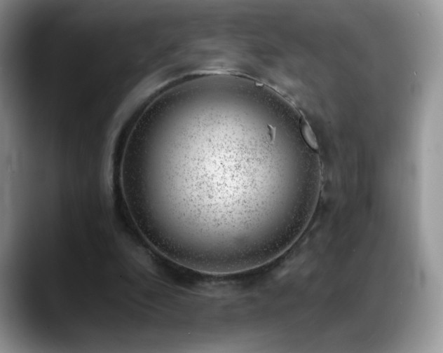 X0000088900296200706081311