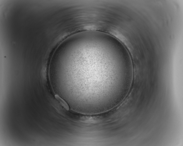 X0000088900297200706081311