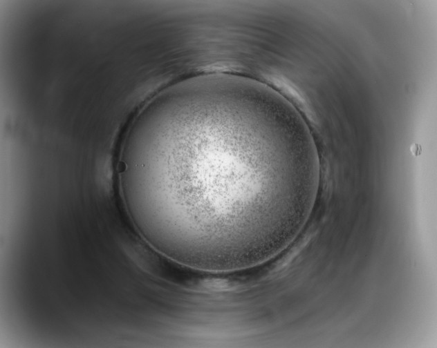 X0000088900298200706081311