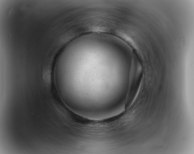 X0000088900299200706081311