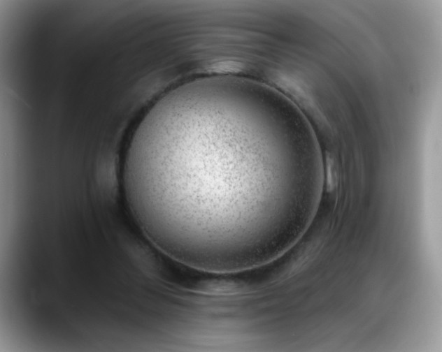 X0000088900300200706081311