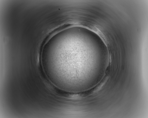 X0000088900301200706081311