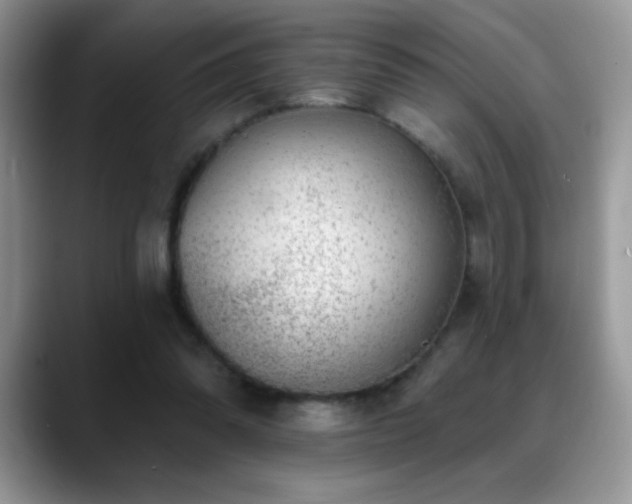 X0000088900302200706081311