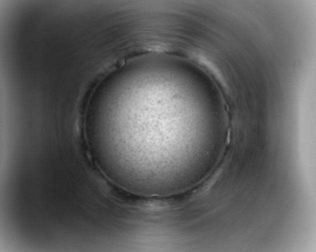 X0000088900305200706081310