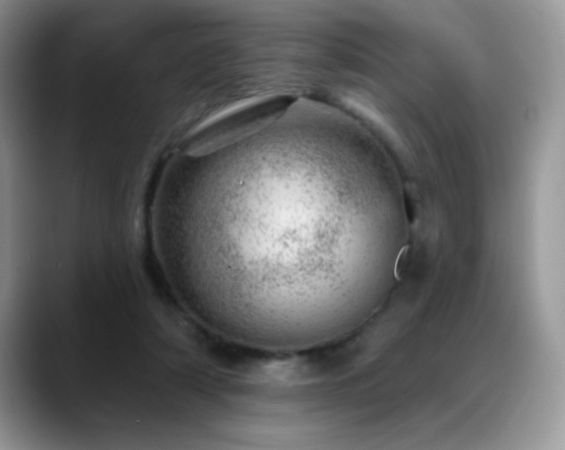 X0000088900306200706081310
