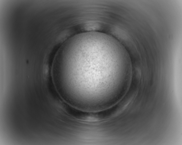 X0000088900308200706081310
