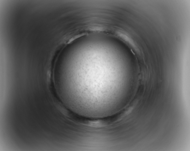 X0000088900309200706081310