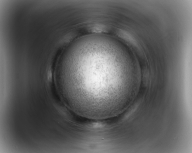 X0000088900310200706081310