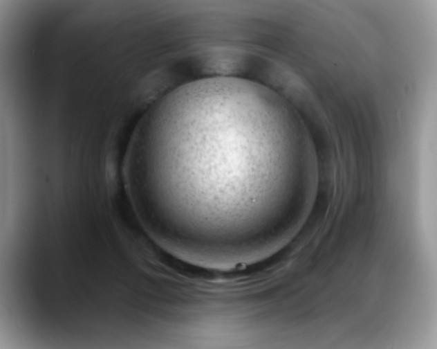 X0000088900312200706081310