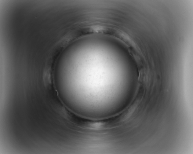 X0000088900313200706081310
