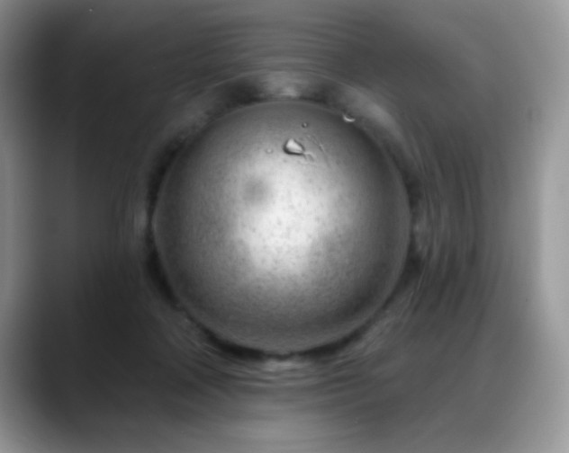 X0000088900314200706081310