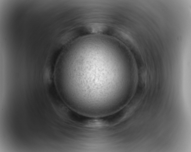 X0000088900316200706081310