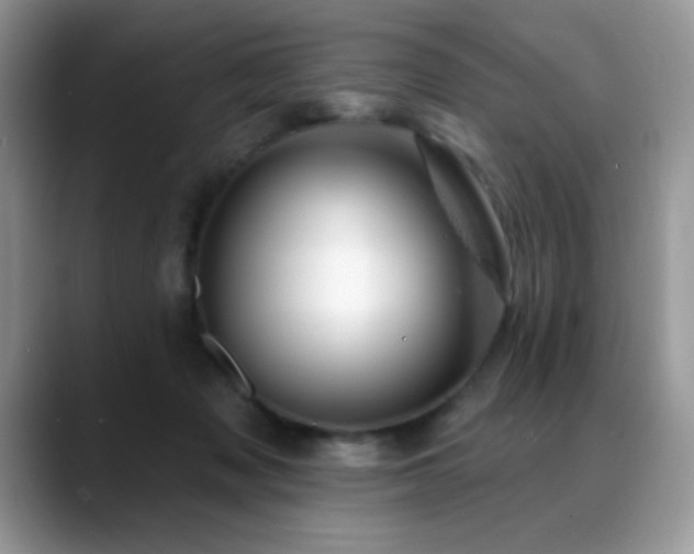 X0000088900317200706081310