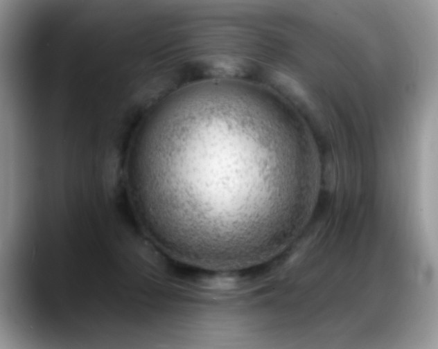 X0000088900318200706081310