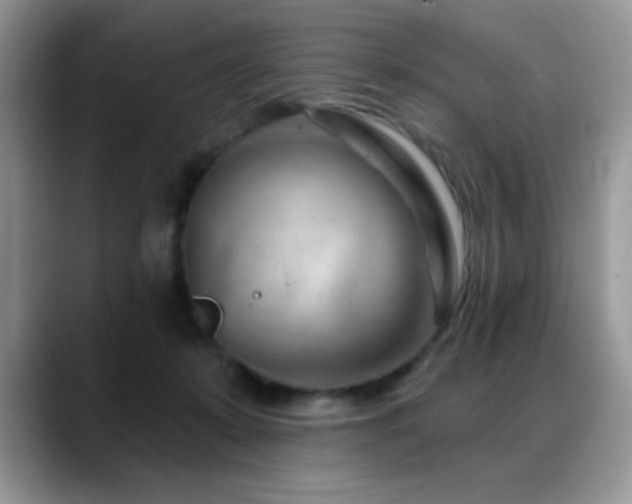 X0000088900319200706081310