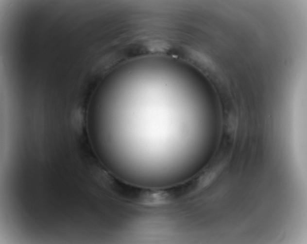 X0000088900321200706081310