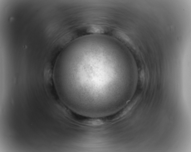 X0000088900322200706081310