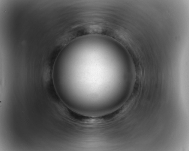 X0000088900323200706081310