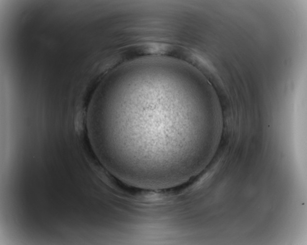 X0000088900325200706081310