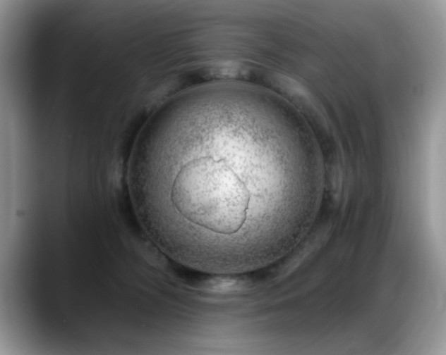 X0000088900326200706081310