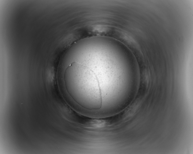 X0000088900328200706081310