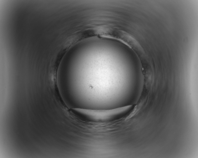 X0000088900329200706081310