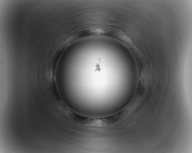 X0000088900330200706081310