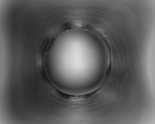 X0000088900331200706081310