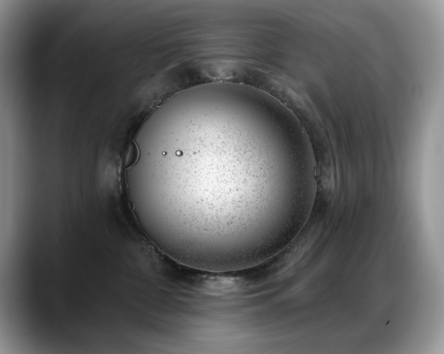 X0000088900332200706081310