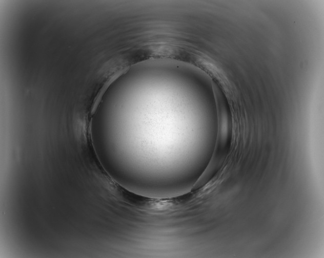X0000088900333200706081310